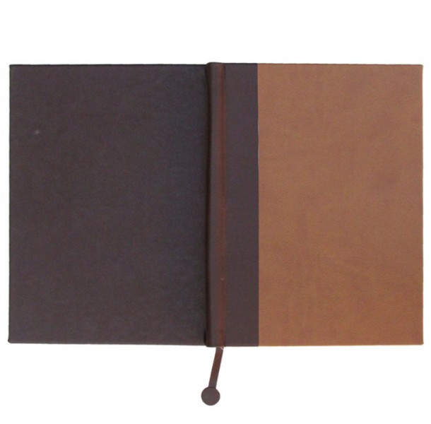 AGENDA DIARIA COMBINADA 2022